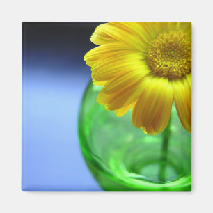 Flower in Vase Magnet