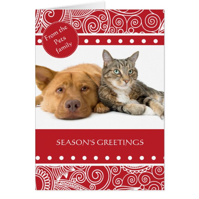 Flower Jungle season's Greetings (Front)