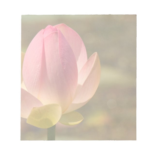 Flower Lotus Notepad (Front)