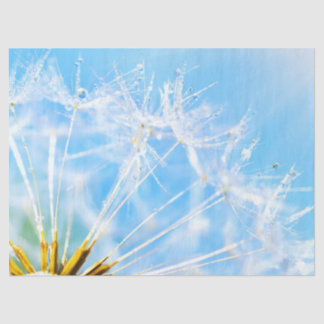 Flower Lover | Beautiful Dandelion Flower Tissue Paper