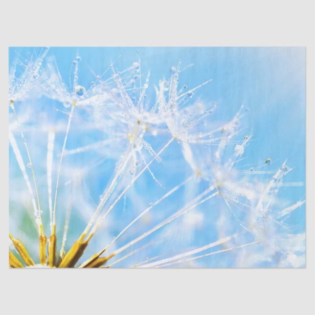 Flower Lover | Beautiful Dandelion Flower Tissue Paper (Front)