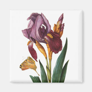 Flower Magnet