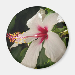 Flower Magnet