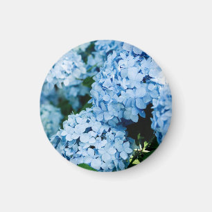 Flower magnet