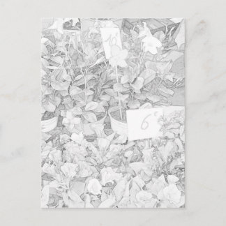 Flower Market Colouring Postcard