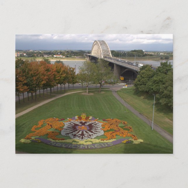 Flower mosaic, Nijmegen Postcard (Front)