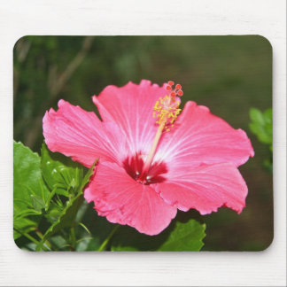 Flower Mouse Pad