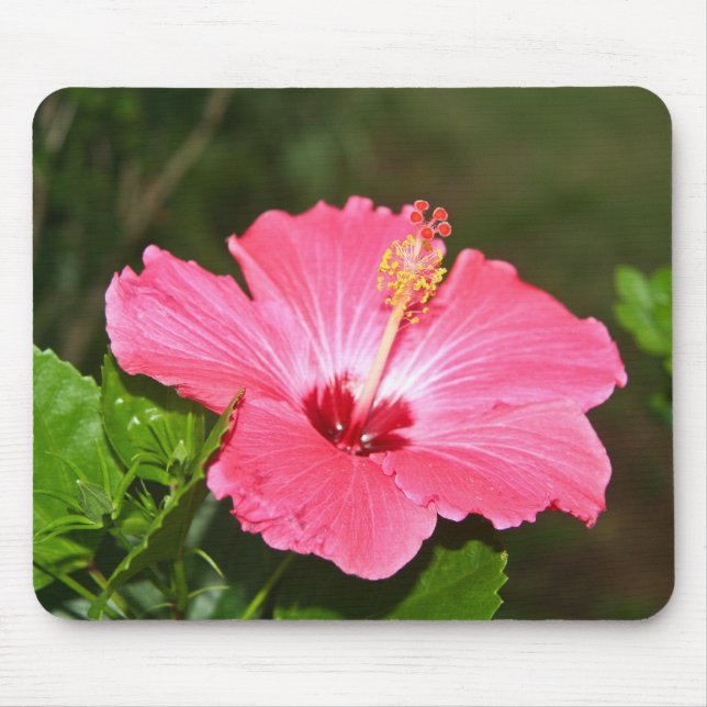 Flower Mouse Pad (Front)