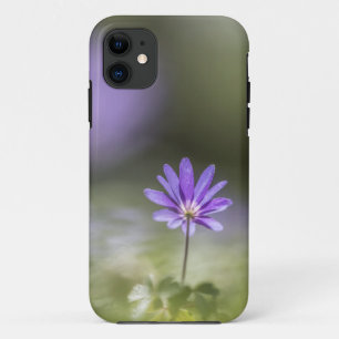 Flower Nature Photo iPhone 11 Case