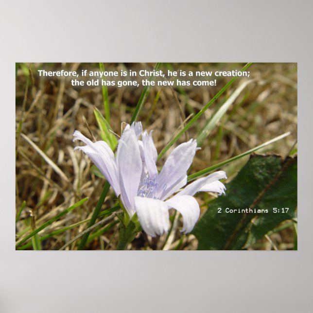 Flower - New Creation Poster (Front)