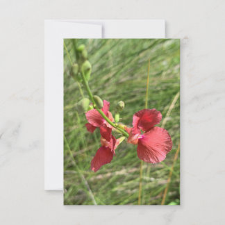 Flower Notecard