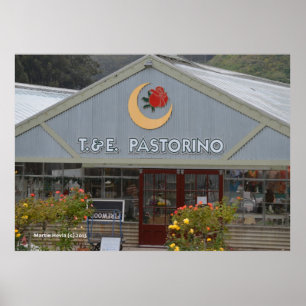 Flower Nursery Poster