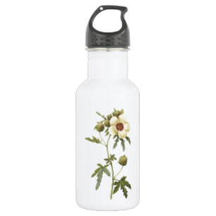 flower-of-an-hour(Hibiscus trionum) by Redouté 532 Ml Water Bottle
