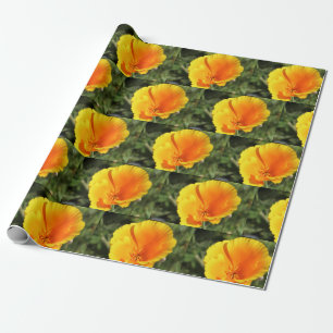 Flower of California poppyi Wrapping Paper