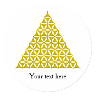 flower of life pyramid flower of life pyramid