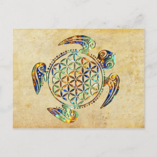 Flower of Life / Blume des Lebens - turtle coloure Postcard