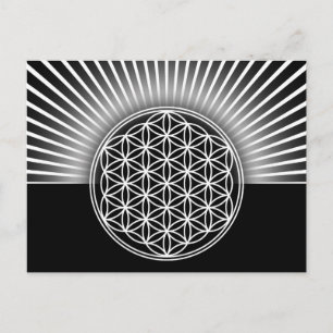 Flower of Life / Blume des Lebens - white flat Postcard