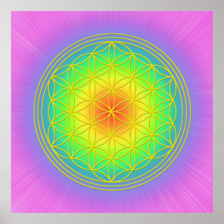 Flower of Life Chakra 1 Poster