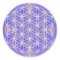 Flower of Life (Colour 3)