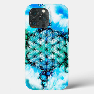 Flower Of Life - Colourfully Ways 3 iPhone 13 Pro Case