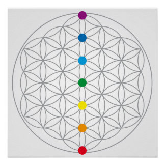 Flower of Life Design and 7 Chakras Rainbow Colour Poster