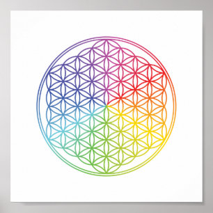 Flower of Life - geometric pattern - rainbow Poster