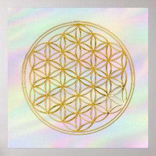 Flower Of Life   gold, coloured light Poster