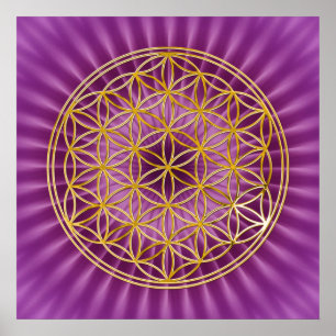 Flower Of Life   gold, magenta shine Poster