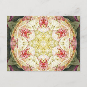 Flower of Life Mandala 6 Cards