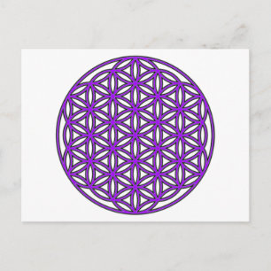 Flower of Life Purple Postcard