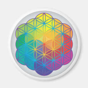 Flower of Life Rainbow Colours Harmony Energy Magnet