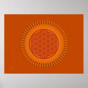 Flower Of Live / sun design Poster