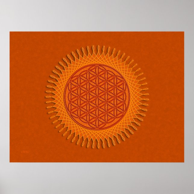 Flower Of Live / sun design Poster (Front)
