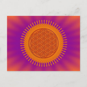 Flower Of Live / sunny design Postcard