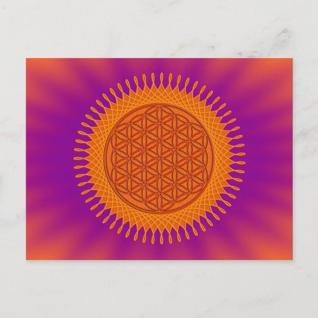Flower Of Live / sunny design Postcard (Front)