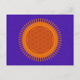Flower Of Live / sunny design Postcard