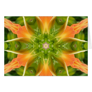 Flower of Peace Mandala