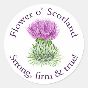 Flower of Scotland. Strong, firm and true! Classic Round Sticker