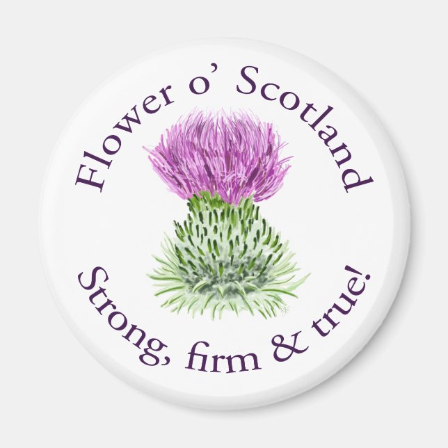 Flower of Scotland. Strong, firm and true! Magnet (Front)