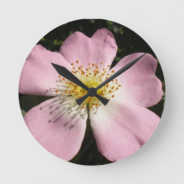 Flower of wild blossom rose round clock (Front)