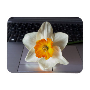 Flower over keyboard magnet