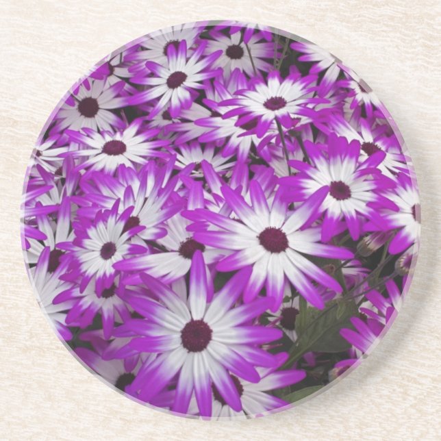 Flower pattern, Kuekenhof Gardens, Lisse, Coaster (Front)