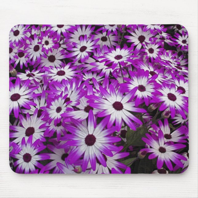 Flower pattern, Kuekenhof Gardens, Lisse, Mouse Pad (Front)