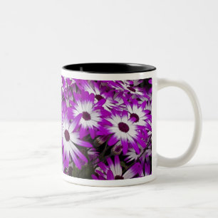 Flower pattern, Kuekenhof Gardens, Lisse, Two-Tone Coffee Mug