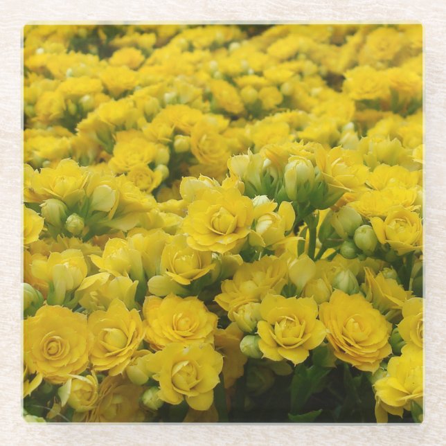 Flower Photo Bright Yellow Blooms Feminine Floral Glass Coaster (Front)