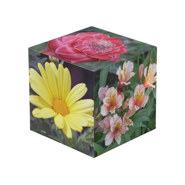 Flower Photo Cube (Front Angled)
