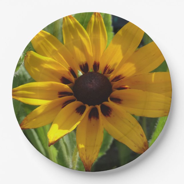 Flower Photo  Custom Paper Plates (Front)