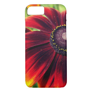 Flower Photo iPhone SE + iPhone 5/5S, Barely There iPhone 8/7 Case