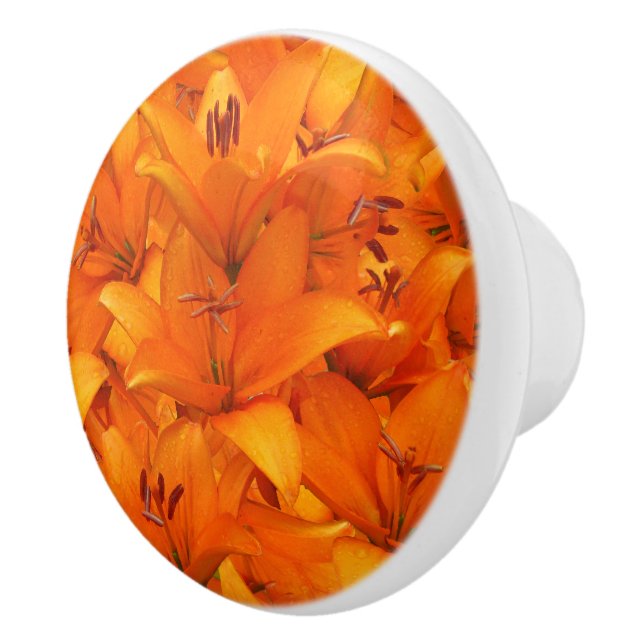 Flower Photo Orange Garden Lilies Ceramic Knob (Right)