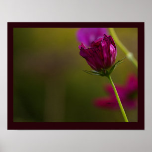 Flower Photo Poster